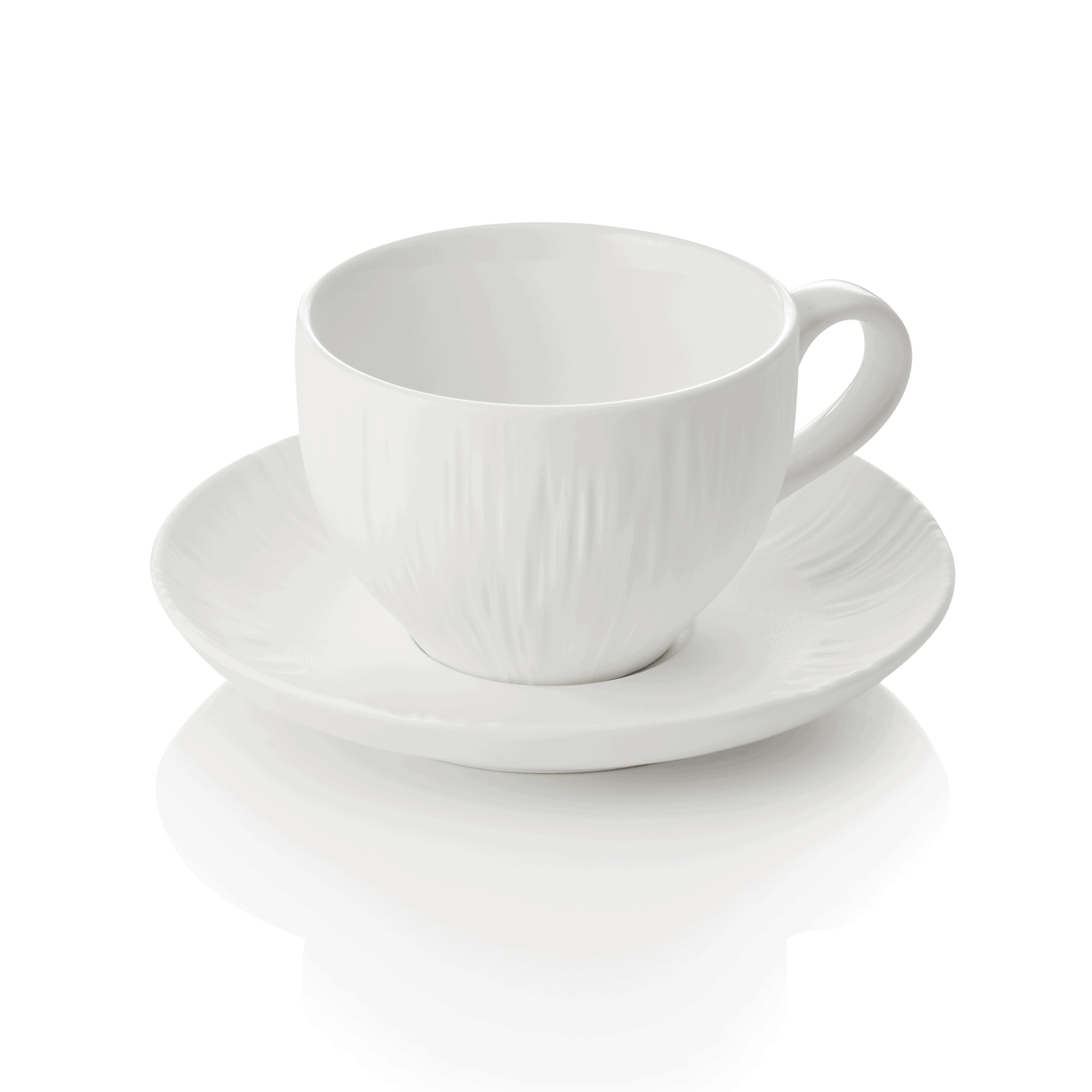4850720_WS.png